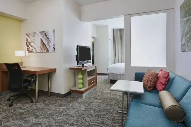 Süit, 1 En Büyük (King) Boy Yatak ve Çekyat (Mobility Accessible, Tub)