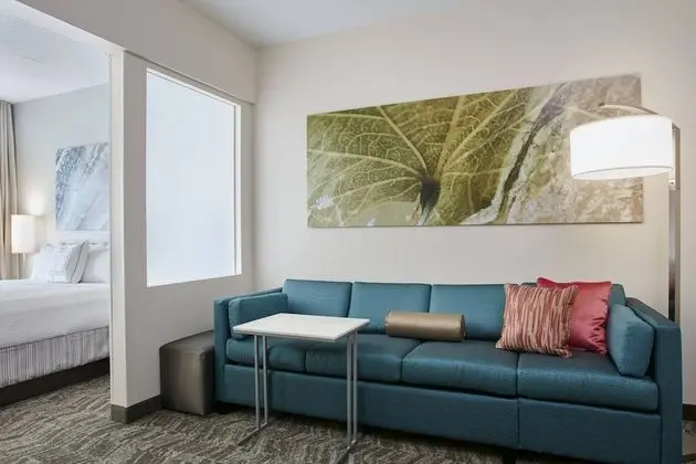 Süit, 2 Çift Kişilik Yatak (Hearing Accessible)