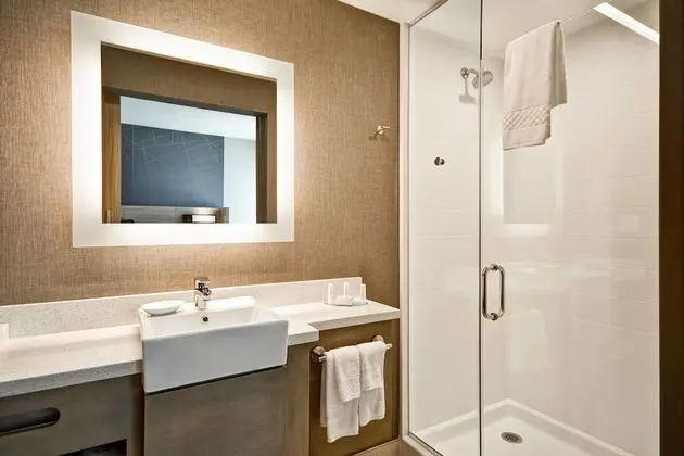 Süit, 1 En Büyük (King) Boy Yatak ve Çekyat (Mobility Accessible, Tub)