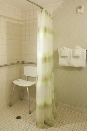 Süit, 1 En Büyük (King) Boy Yatak ve Çekyat (Mobility Accessible, Roll-In Shower)
