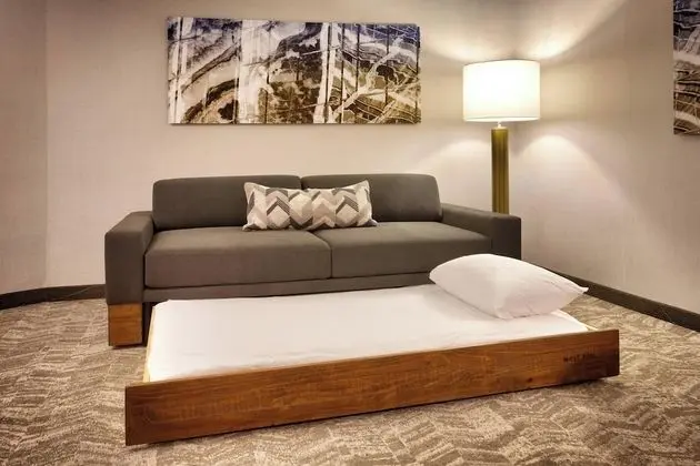 Stüdyo, Birden Çok Yatak (Mobility/Hearing Accessible, Tub)