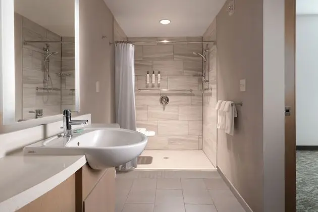 Süit, 1 En Büyük (King) Boy Yatak ve Çekyat (Mobility Accessible, Roll-In Shower)