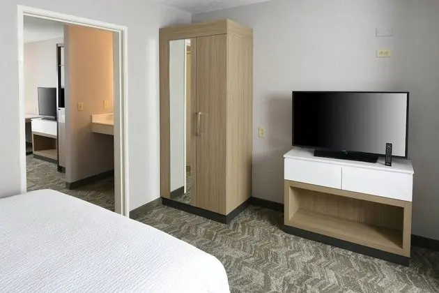 Süit, 1 En Büyük (King) Boy Yatak ve Çekyat (Mobility/Hearing Accessible, Tub)