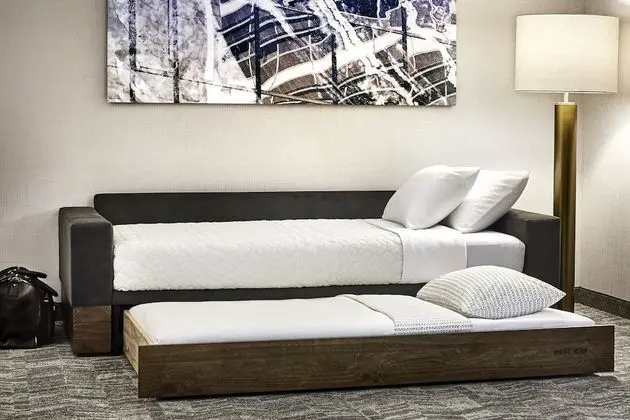 Süit, 1 En Büyük (King) Boy Yatak ve Çekyat (Mobility Accessible, Tub)