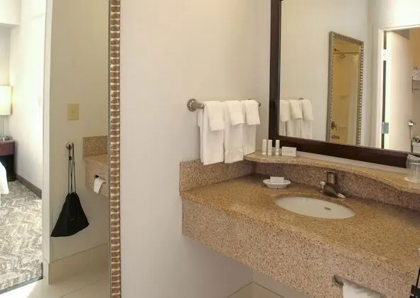 Süit, 1 En Büyük (King) Boy Yatak ve Çekyat (Mobility/Hearing Accessible, Tub)