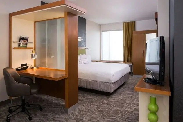 Süit, 1 En Büyük (King) Boy Yatak ve Çekyat (Mobility/Hearing Accessible, Tub)