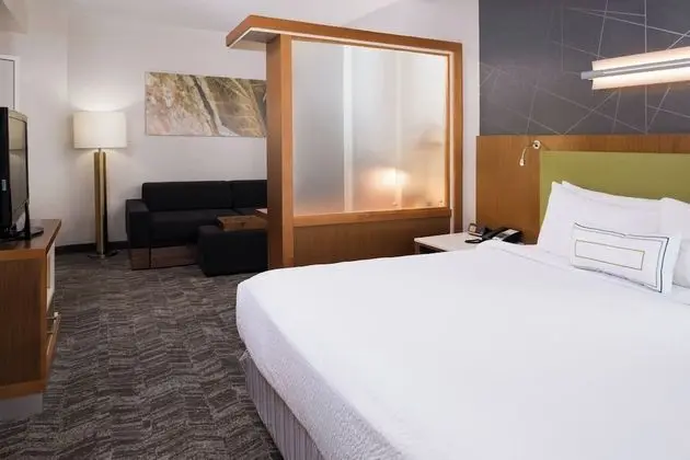 Süit, 1 En Büyük (King) Boy Yatak ve Çekyat (Mobility/Hearing Accessible, Tub)