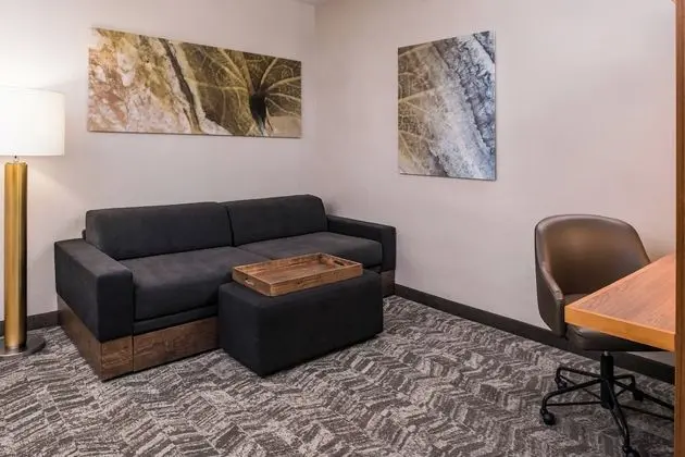 Süit, 1 En Büyük (King) Boy Yatak ve Çekyat (Mobility/Hearing Accessible, Tub)