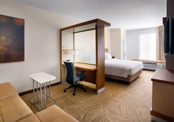 Stüdyo, 1 En Büyük (King) Boy Yatak ve Çekyat (Mobility Accessible, Roll-In Shower)