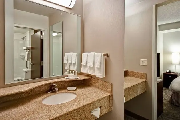 Stüdyo, 1 En Büyük (King) Boy Yatak ve Çekyat (Mobility/Hearing Accessible, Tub)