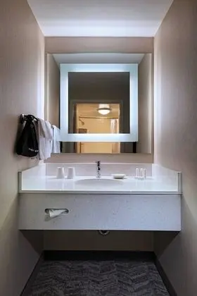 Süit, 1 En Büyük (King) Boy Yatak ve Çekyat (Mobility/Hearing Accessible, Tub)