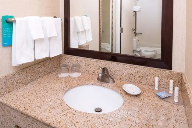 Süit, 1 En Büyük (King) Boy Yatak ve Çekyat (Mobility/Hearing Accessible, Tub)
