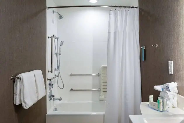 Süit, 1 En Büyük (King) Boy Yatak, Engellilere Uygun, Sigara İçilmez (Mobility w/ Tub)