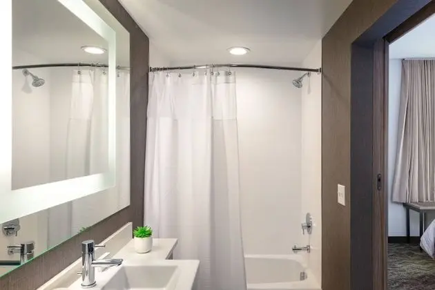 Süit, 1 En Büyük (King) Boy Yatak, Engellilere Uygun, Sigara İçilmez (Mobility w/ Tub)