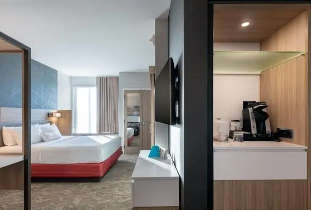 Süit, 1 En Büyük (King) Boy Yatak ve Çekyat (Mobility Accessible, Roll-In Shower)