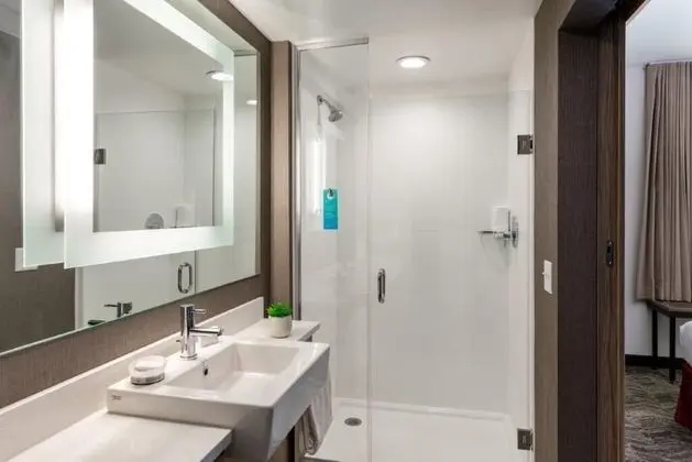 Süit, 1 En Büyük (King) Boy Yatak ve Çekyat (Mobility Accessible, Roll-In Shower)