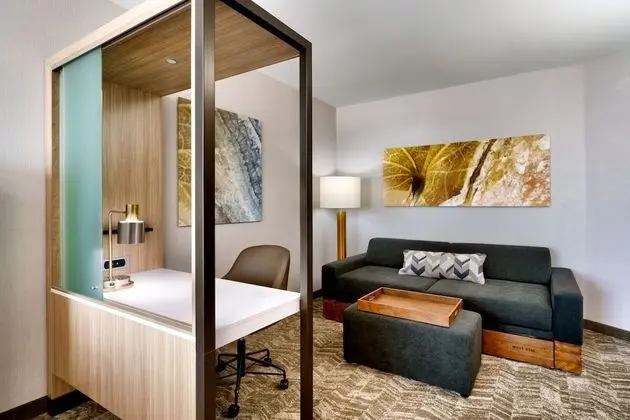 Süit, 1 En Büyük (King) Boy Yatak, Engellilere Uygun, Sigara İçilmez (Mobility w/ Tub)