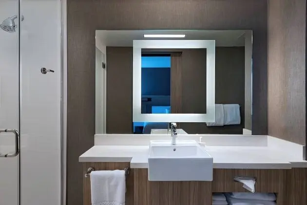 Süit, 1 En Büyük (King) Boy Yatak, Engellilere Uygun, Sigara İçilmez (Mobility w/ Tub)
