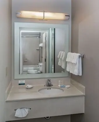 Süit, 2 Çift Kişilik Yatak, Sigara İçilebilir (Mobility Accessible, Roll-In Shower)