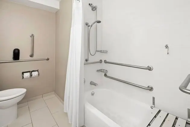 Stüdyo, 1 En Büyük (King) Boy Yatak ve Çekyat, Engellilere Uygun (Mobility & Hearing w/ Tub)