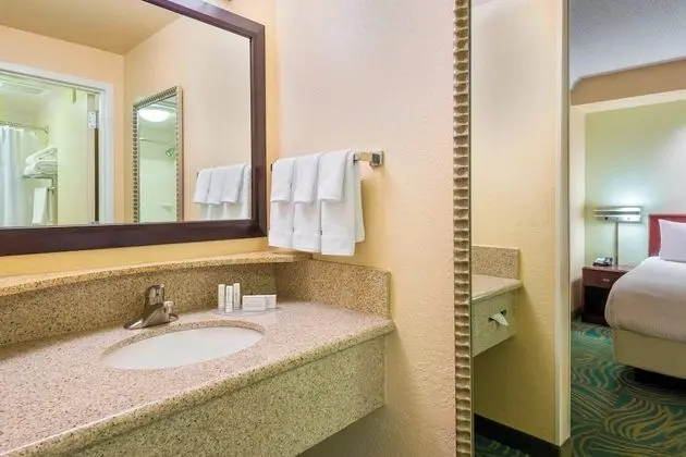 Süit, 1 En Büyük (King) Boy Yatak ve Çekyat (Mobility/Hearing Accessible, Tub)