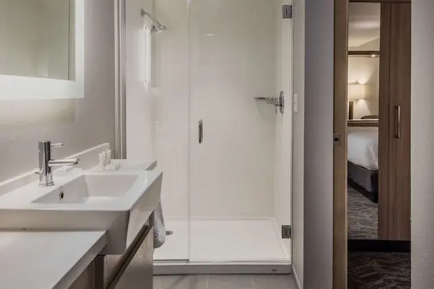Süit, Birden Çok Yatak, Balkon, Şehir Manzaralı
