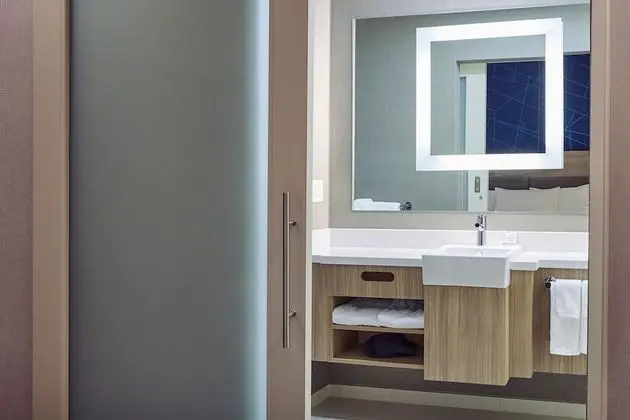 Standard Oda, Birden Çok Yatak (Mobility/Hearing Access, Roll-In Shwr)