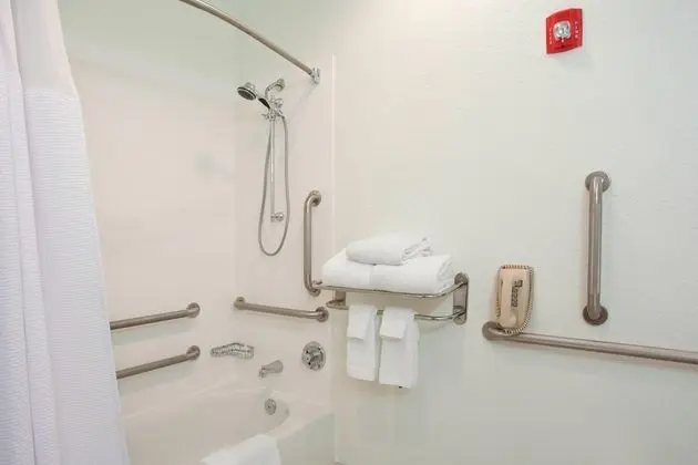 Süit, 1 En Büyük (King) Boy Yatak ve Çekyat, Sigara İçilmez (Mobility & Hearing w/ Transfer Shower)