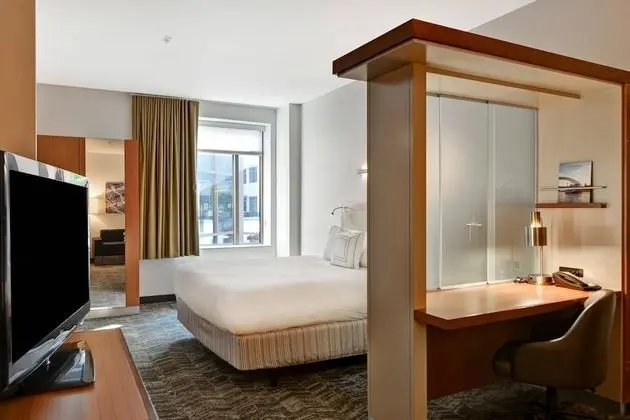 Stüdyo, 1 En Büyük (King) Boy Yatak ve Çekyat (Mobility Accessible, Roll-In Shower)