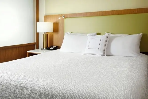 Stüdyo, 1 En Büyük (King) Boy Yatak (Trundle Bed)