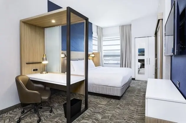 Süit, 1 En Büyük (King) Boy Yatak ve Çekyat, Engellilere Uygun (Mobility & Hearing w/ Tub)