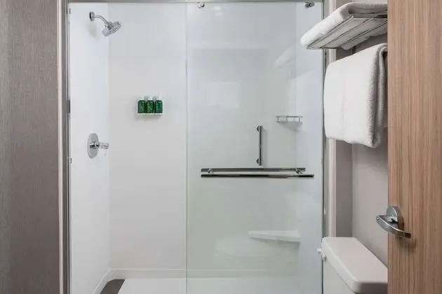 Süit, 1 En Büyük (King) Boy Yatak ve Çekyat, Engellilere Uygun (Mobility Roll-In Shower)