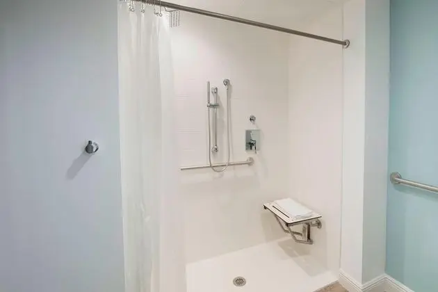 Süit, 1 En Büyük (King) Boy Yatak ve Çekyat, Balkon (Mobility Accessible, Roll-In Shower)