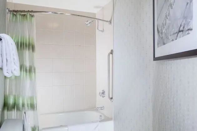 Stüdyo Süit, 1 En Büyük (King) Boy Yatak ve Çekyat (Mobility/Hearing Accessible, Tub)