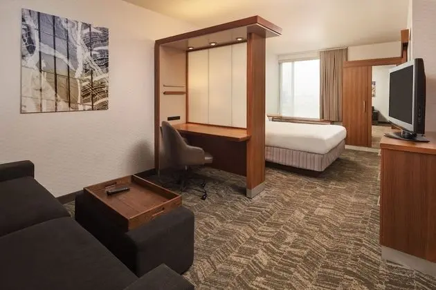 Süit, 1 En Büyük (King) Boy Yatak ve Çekyat (Mobility Accessible, Tub)