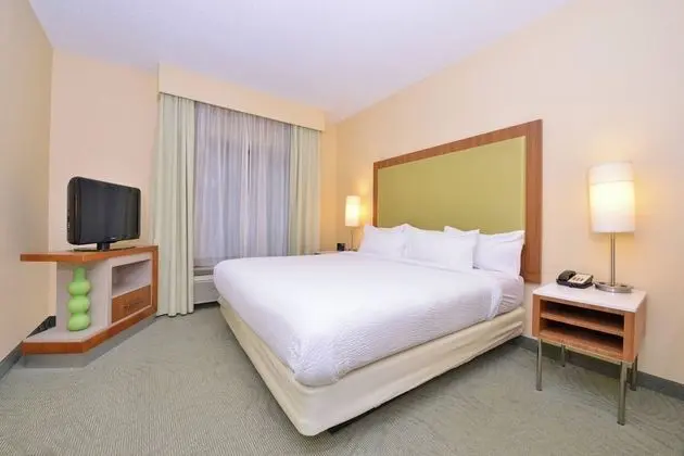 Stüdyo, 1 En Büyük (King) Boy Yatak ve Çekyat (Mobility Accessible, Roll-In Shower)