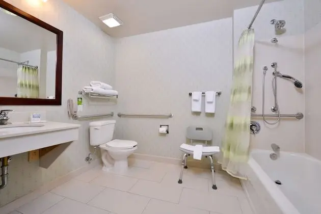 Stüdyo, 1 En Büyük (King) Boy Yatak ve Çekyat (Mobility Accessible, Tub)