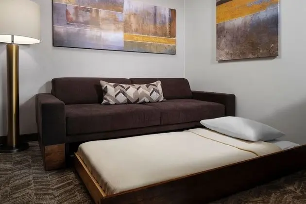 Stüdyo (1 Sofa Bed)