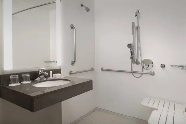 Stüdyo, 1 En Büyük (King) Boy Yatak ve Çekyat (Mobility/Hearing Access, Roll-In Shwr)