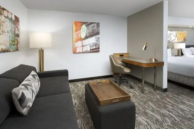 Stüdyo Süit, 1 En Büyük (King) Boy Yatak ve Çekyat (Mobility Accessible, Tub)