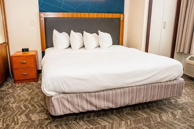 Süit, 1 En Büyük (King) Boy Yatak ve Çekyat (Mobility Accessible, Tub)