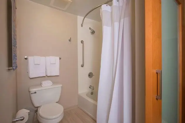 Süit, 1 Çift Kişilik Yatak, Engellilere Uygun, Sigara İçilmez (Mobility w/ Tub)