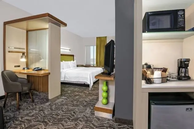 Stüdyo, 1 En Büyük (King) Boy Yatak ve Çekyat (Mobility/Hearing Accessible, Tub)