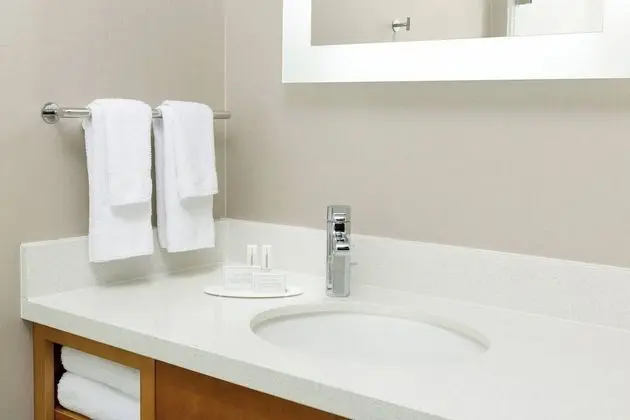 Stüdyo, 1 En Büyük (King) Boy Yatak ve Çekyat, Engellilere Uygun (Mobility & Hearing w/ Tub)