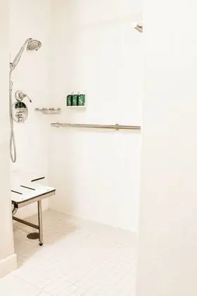 Süit, 1 En Büyük (King) Boy Yatak ve Çekyat (Mobility/Hearing Access, Roll-In Shwr)