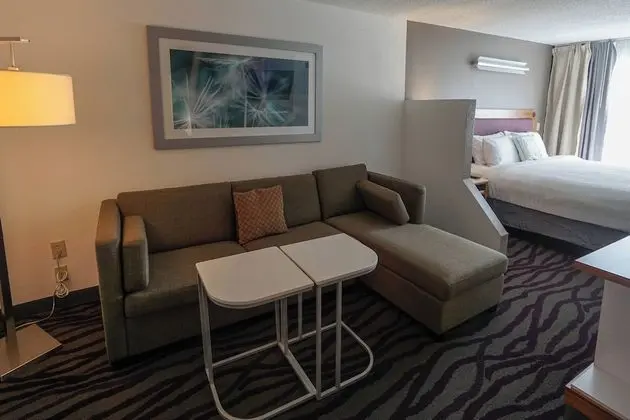 Stüdyo Süit, 1 En Büyük (King) Boy Yatak