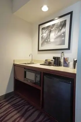 Stüdyo Süit, 1 En Büyük (King) Boy Yatak