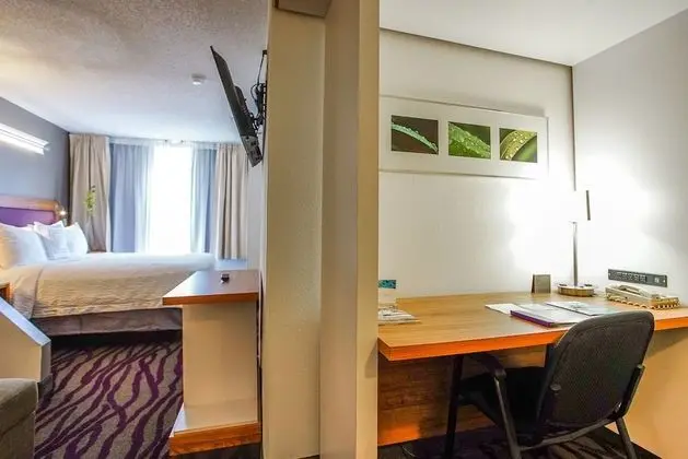 Stüdyo Süit, 1 En Büyük (King) Boy Yatak