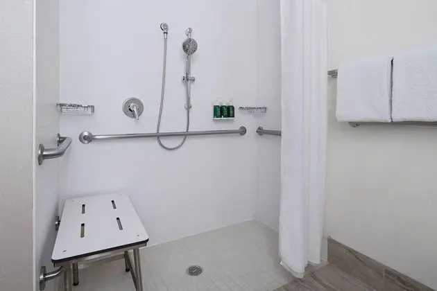 Stüdyo, 2 Çift Kişilik Yatak (Mobility/Hearing Access, Roll-In Shwr)