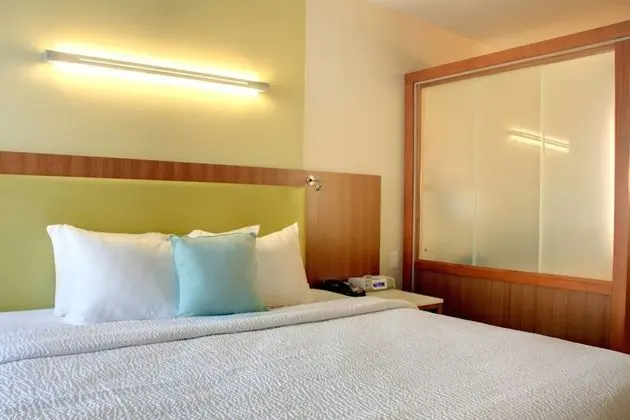 Süit, 1 En Büyük (King) Boy Yatak ve Çekyat (Mobility/Hearing Accessible, Tub)